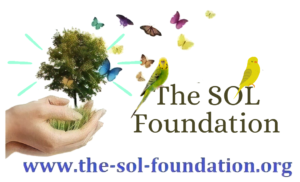 SOL Logo